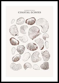 Coastal Echoes-0