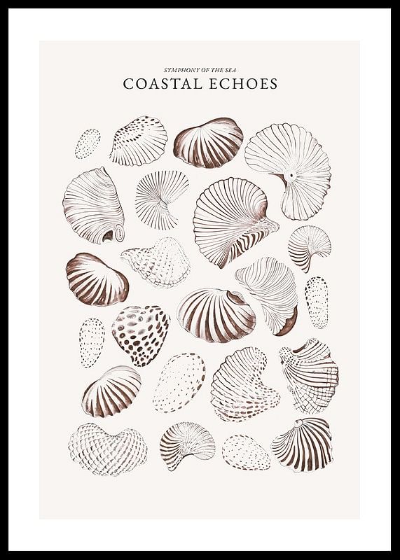 Coastal Echoes-12