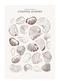 Coastal Echoes-1
