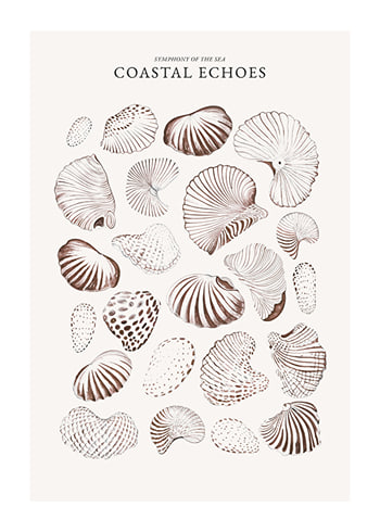 Poster Coastal Echoes