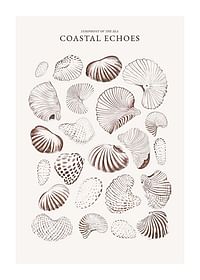 Coastal Echoes-1