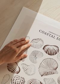 Coastal Echoes-5