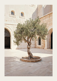 Courtyard's Keeper-3