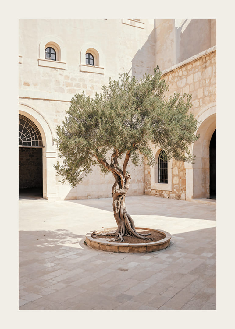 Courtyard's Keeper-12