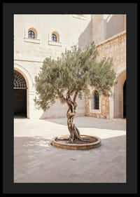 Courtyard's Keeper-4