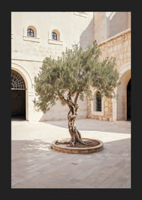 Courtyard's Keeper-5