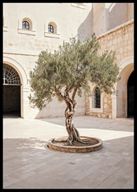 Courtyard's Keeper-6