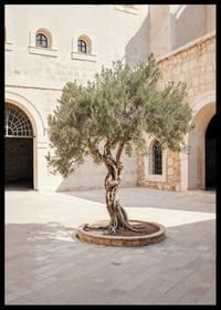 Courtyard's Keeper-2