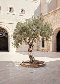 Courtyard's Keeper-7