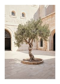 Courtyard's Keeper-1