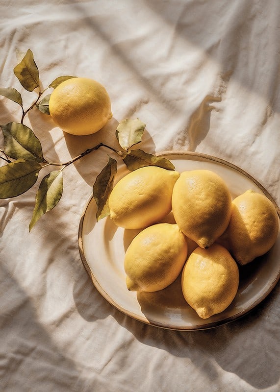 Zestful Lemons-12