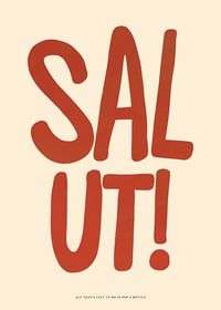 Salut-3