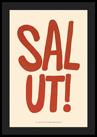 Salut-4