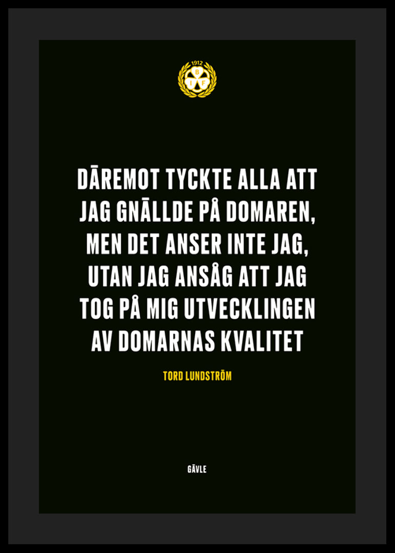 Utvecklingen Av Domarnas Kvalitet Brynäs IF-12