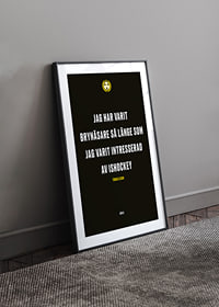 Jag Har Varit Brynäsare Brynäs IF-8
