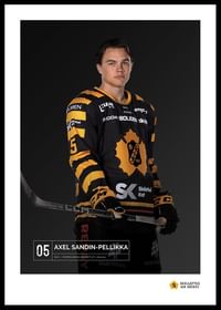 Axel Sandin-Pellikka #05 Skellefteå AIK 2023/2024-0