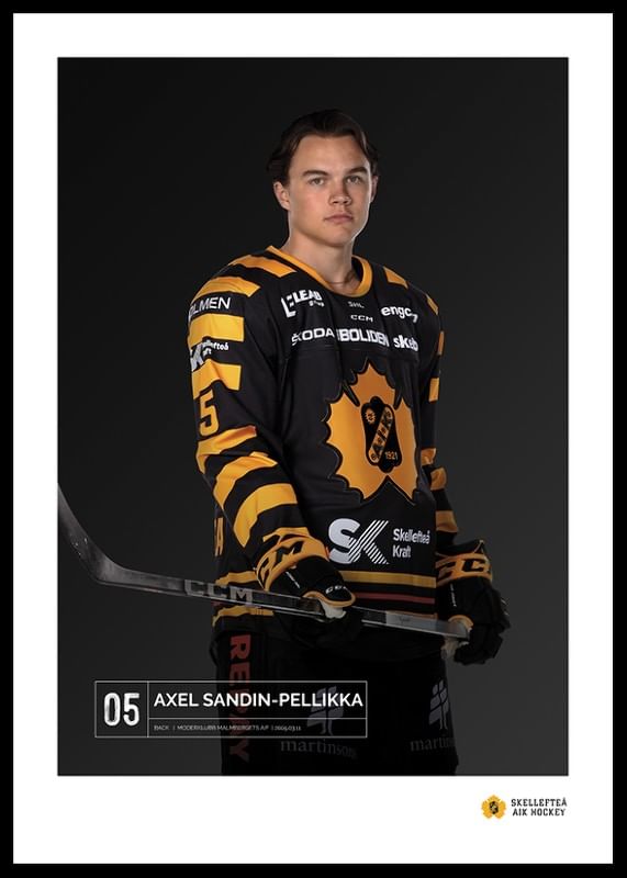 Axel Sandin-Pellikka #05 Skellefteå AIK 2023/2024-12