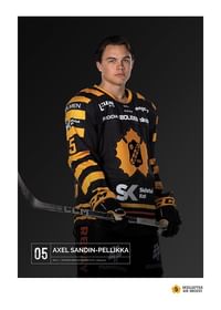 Axel Sandin-Pellikka #05 Skellefteå AIK 2023/2024-1