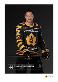 Elias Salomonsson #44 Skellefteå AIK 2023/2024-1