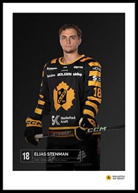 Elias Stenman #18 Skellefteå AIK 2023/2024-0