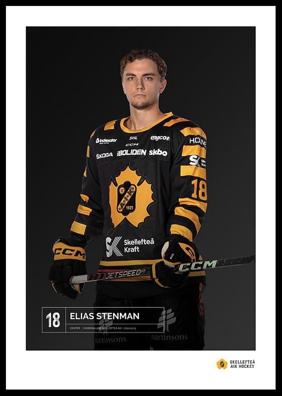 Elias Stenman #18 Skellefteå AIK 2023/2024-12
