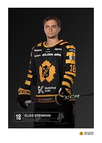 Elias Stenman #18 Skellefteå AIK 2023/2024-1