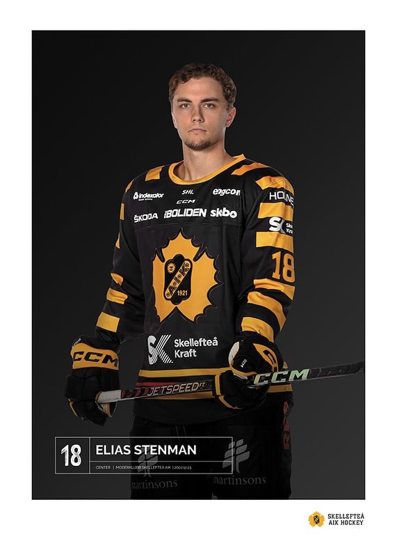 Elias Stenman #18 Skellefteå AIK 2023/2024-12