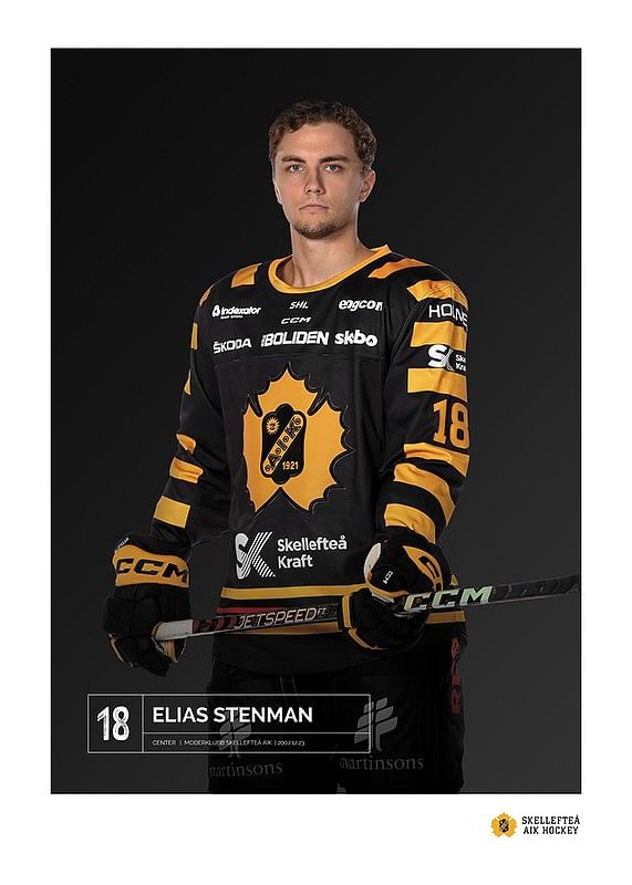 Elias Stenman #18 Skellefteå AIK 2023/2024-12