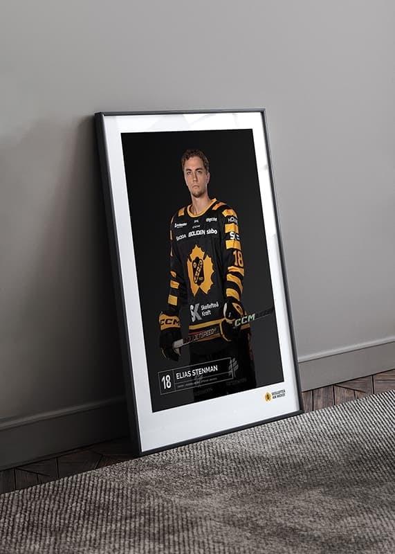 Elias Stenman #18 Skellefteå AIK 2023/2024-12
