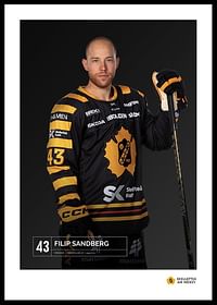 Filip Sandberg #43 Skellefteå AIK 2023/2024-0