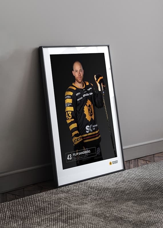 Filip Sandberg #43 Skellefteå AIK 2023/2024-12