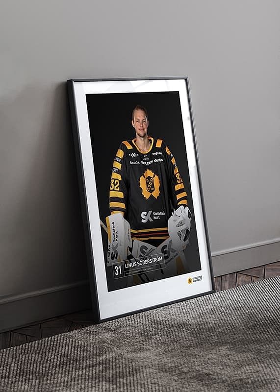 Linus Söderström #31 Skellefteå AIK 2023/2024-12