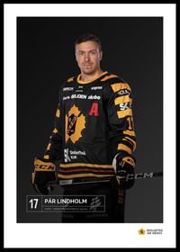 Pär Lindholm #17 Skellefteå AIK 2023/2024-0