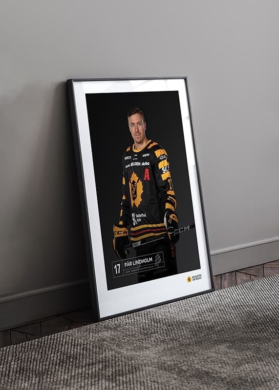 Pär Lindholm #17 Skellefteå AIK 2023/2024-12