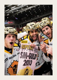 SM-Guld 2013 Skellefteå AIK-3