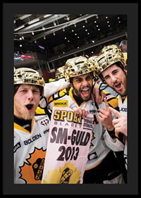 SM-Guld 2013 Skellefteå AIK-4