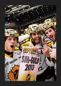 SM-Guld 2013 Skellefteå AIK-5