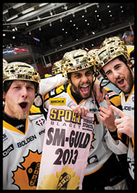 SM-Guld 2013 Skellefteå AIK-6