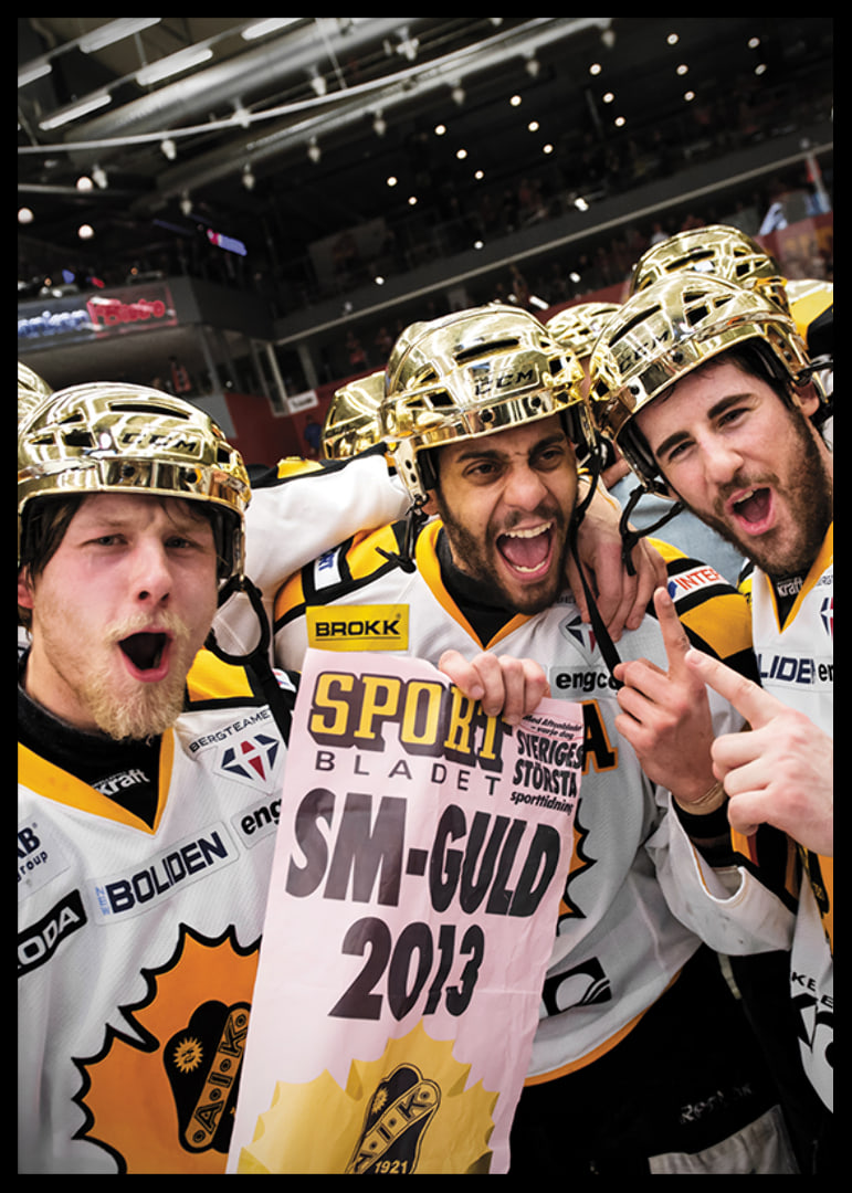SM-Guld 2013 Skellefteå AIK-12