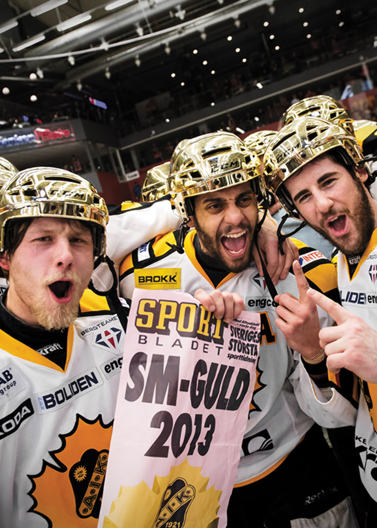 SM-Guld 2013 Skellefteå AIK-12