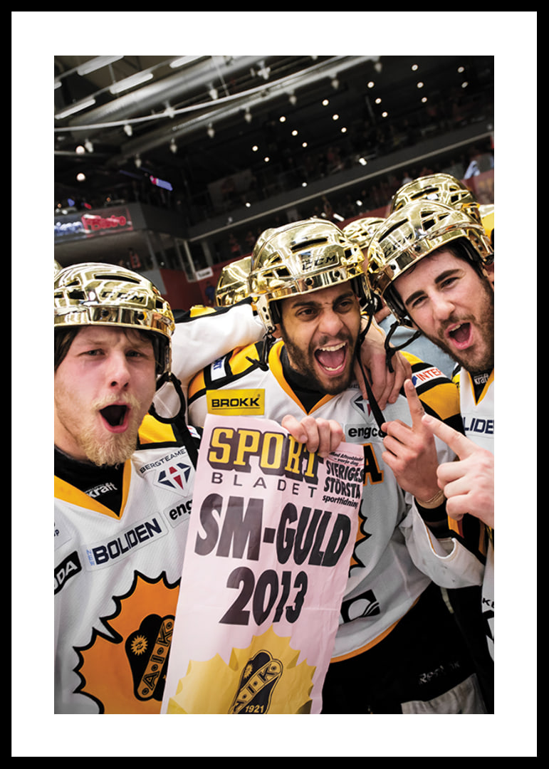 SM-Guld 2013 Skellefteå AIK-12