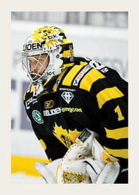 Andreas Hadelöv Skellefteå AIK-3