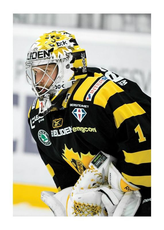 Poster Andreas Hadelöv Skellefteå AIK