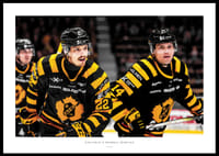 Jonathan & Andreas Johnson Skellefteå AIK-0