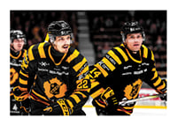 Jonathan & Andreas Johnson Skellefteå AIK-3