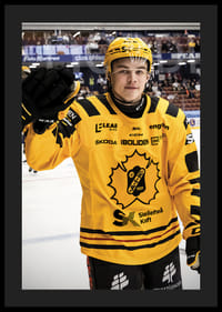 Axel Sandin Pellikka Skellefteå AIK-6