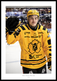 Axel Sandin Pellikka Skellefteå AIK-0