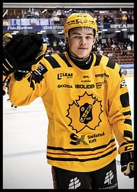 Axel Sandin Pellikka Skellefteå AIK-2