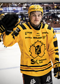 Axel Sandin Pellikka Skellefteå AIK-9