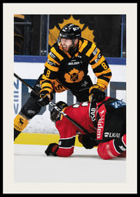 Petter Granberg Skellefteå AIK-4